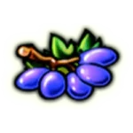 Symbol Grapes